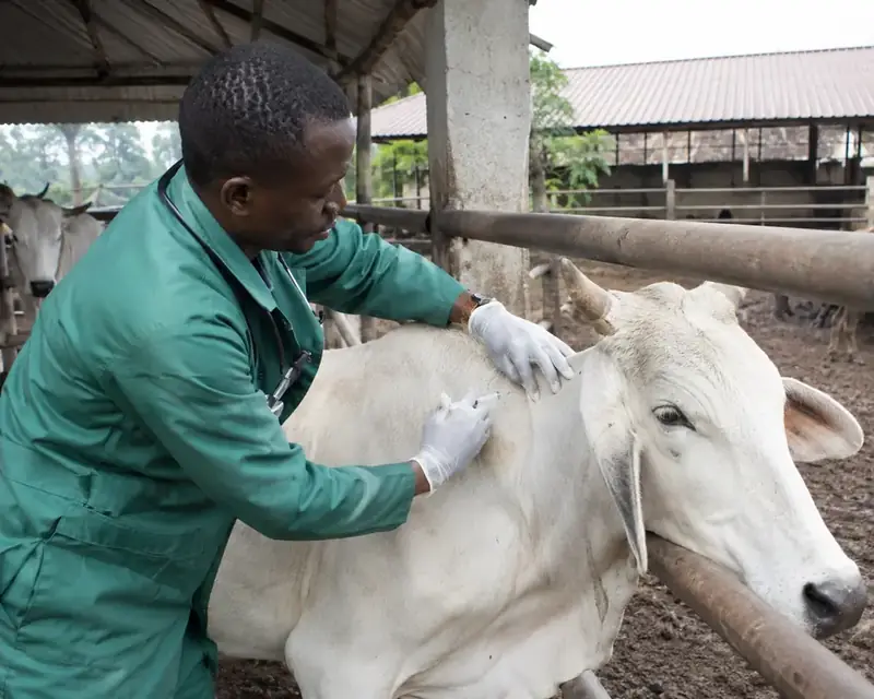 Vaccination & prevention